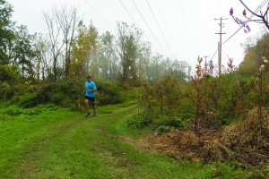 GreenwayTrailCMYK