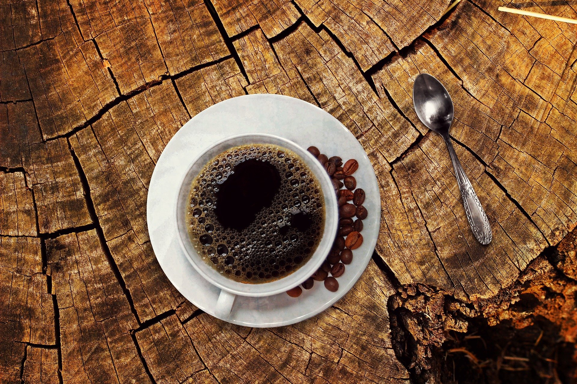 Lanthorn Lite: “Coffee Mug Conversations”