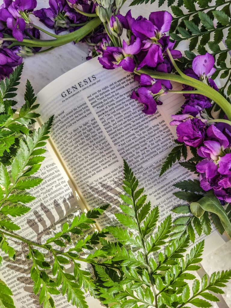 Life Together Groups Bible